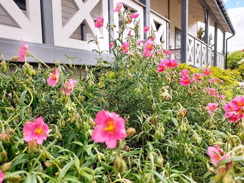 Nadmorz Sztutowo Villa Dış mekan fotoğraf
