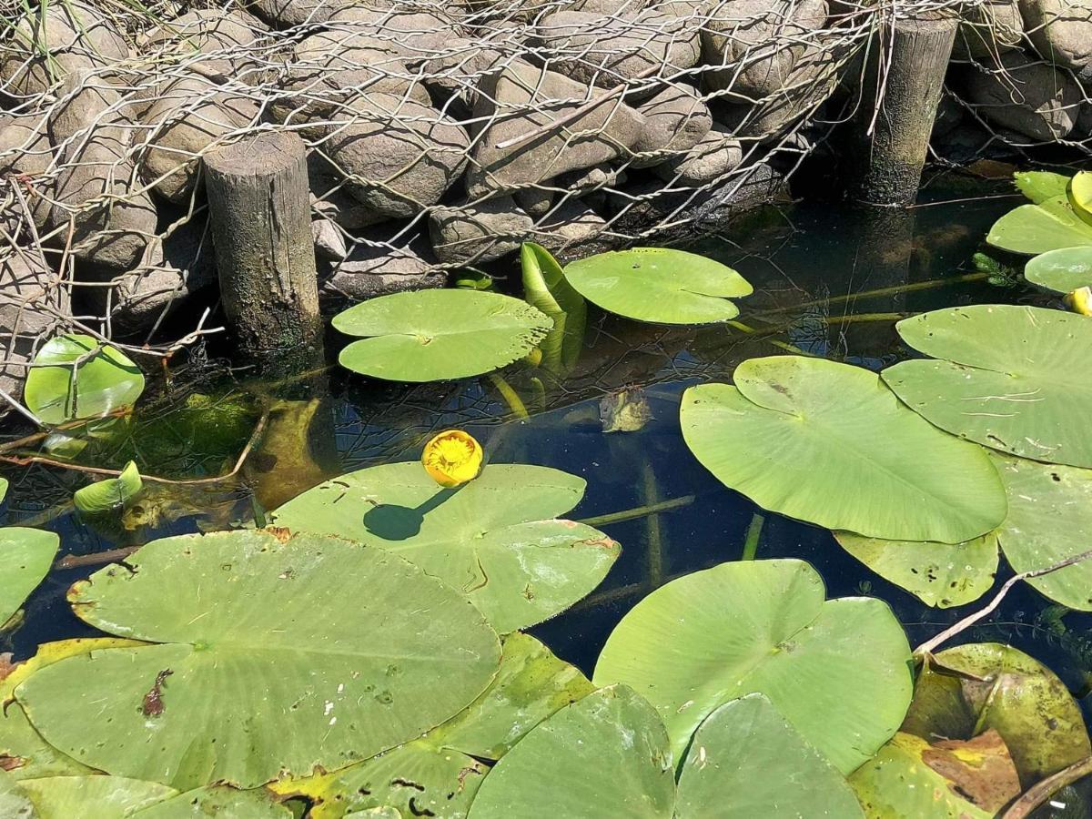 Nadmorz Sztutowo Villa Dış mekan fotoğraf