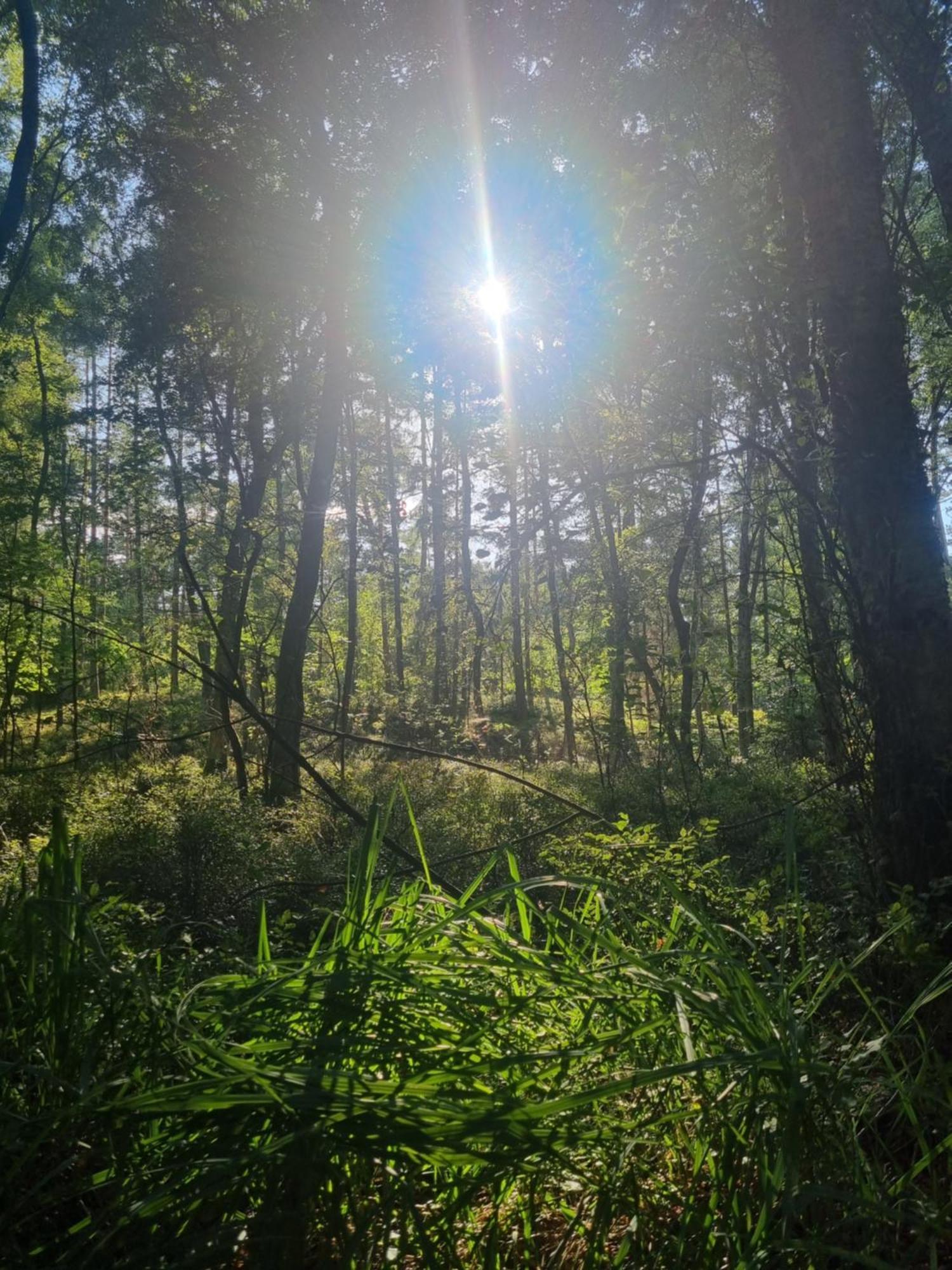 Nadmorz Sztutowo Villa Dış mekan fotoğraf